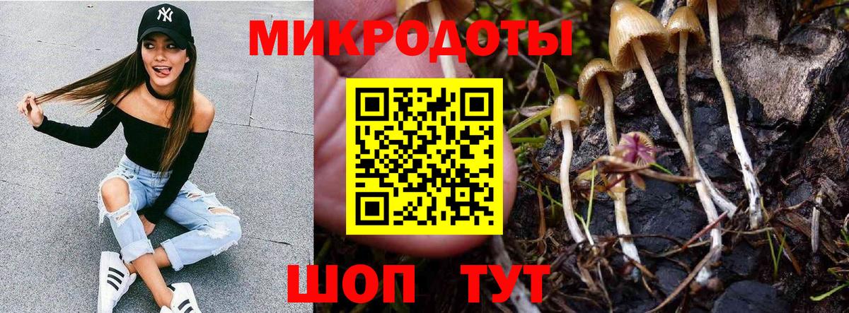 Трёхгорный  Псилоцибиновые грибы Psilocybine cubensis  цены   Вход с VPN 